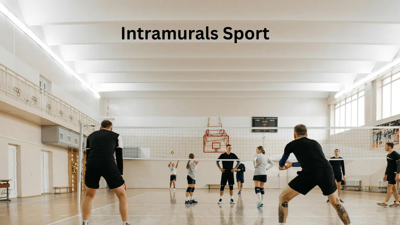 Meaning of Intramural